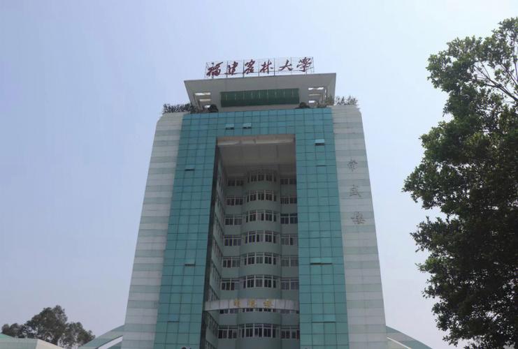 福建电子大学是什么大学