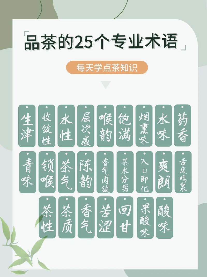 学茶叶专业有哪些