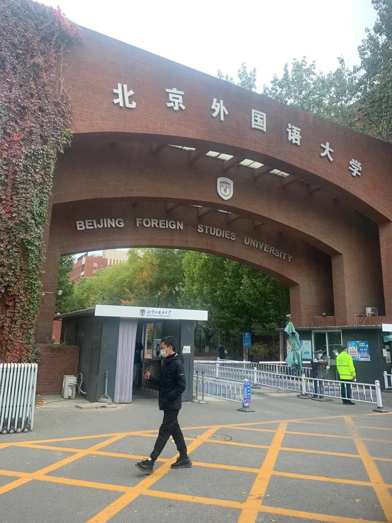 什么大学有外国语学院