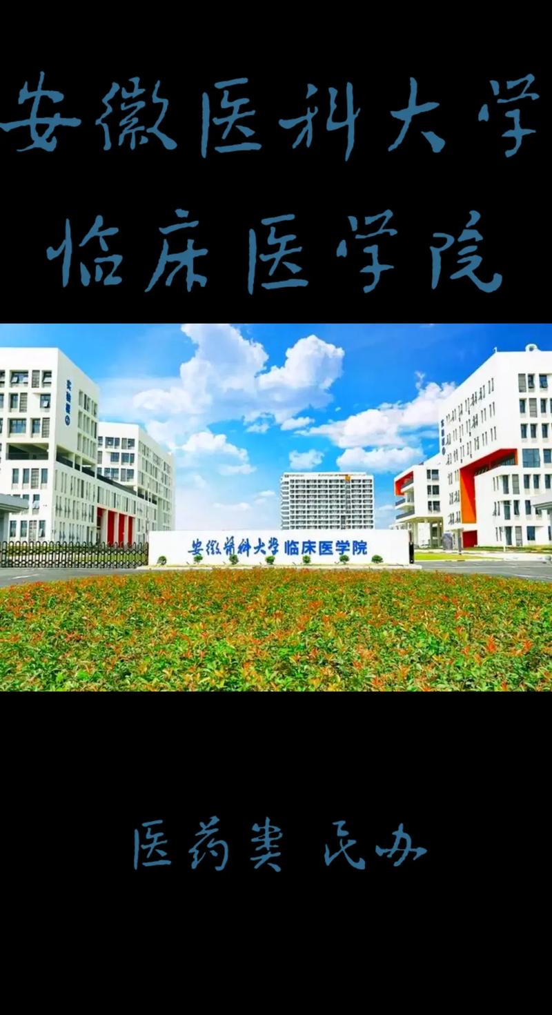 安徽大学有什么院系