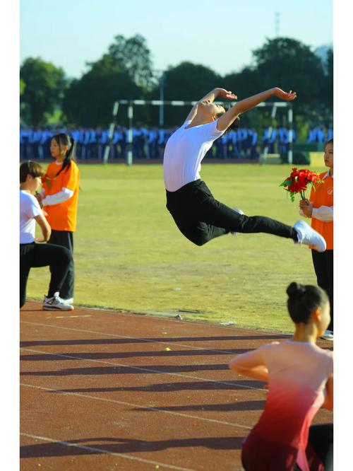 运动会花絮怎么写