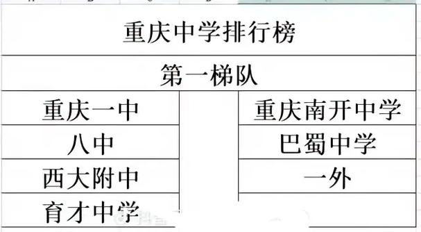 重庆内有什么大学排名