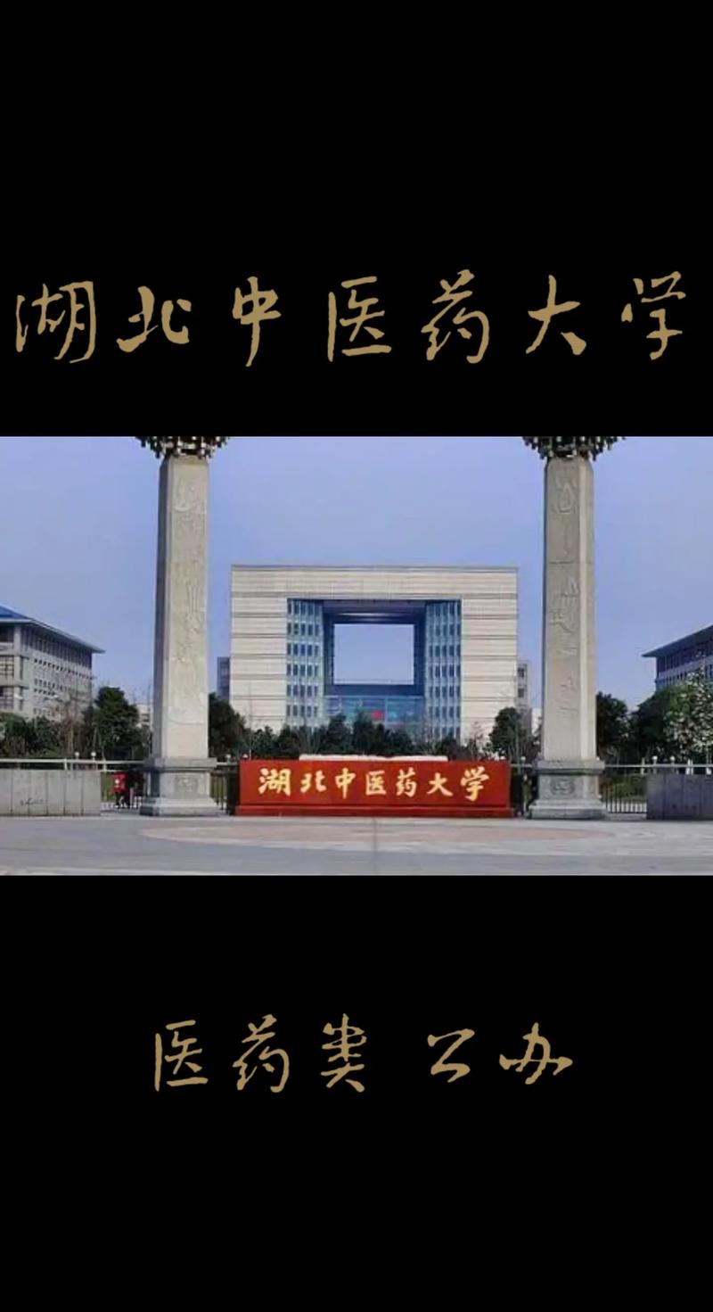 湖北中医大学怎么样