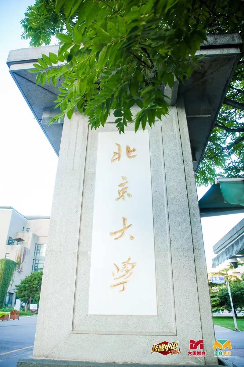 北京学校有哪些艺术大学