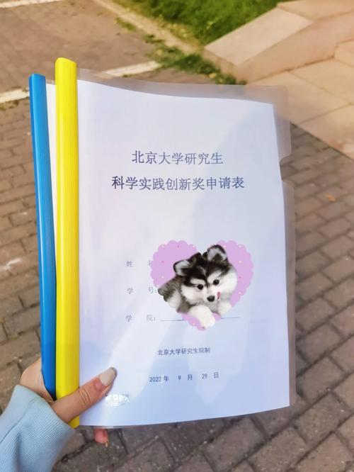 北京大学奖学金怎么申请