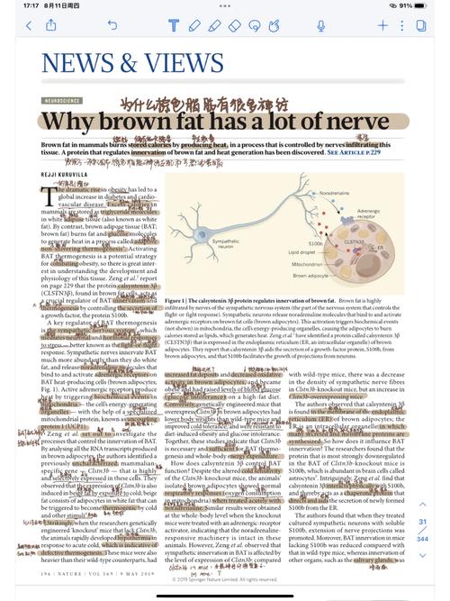 nature怎么搜索主刊文献