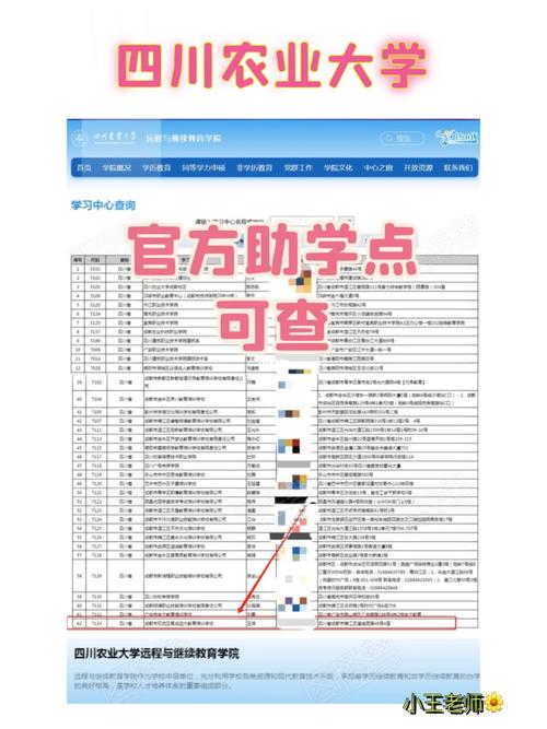 川农怎么查排名