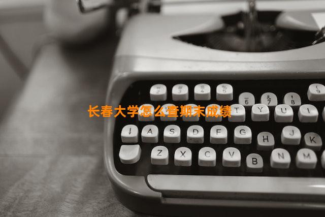 长春大学怎么查期末成绩