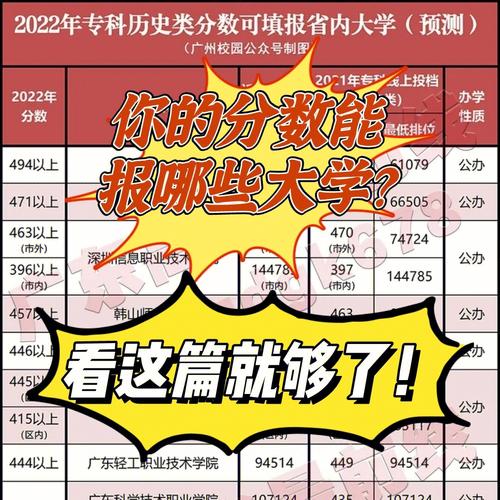 5.5能报哪些大学