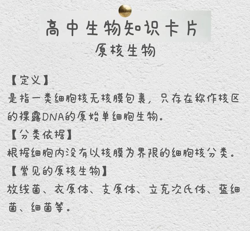 生物科学是什么系的