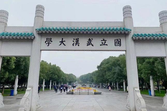 武chen大学是什么学校