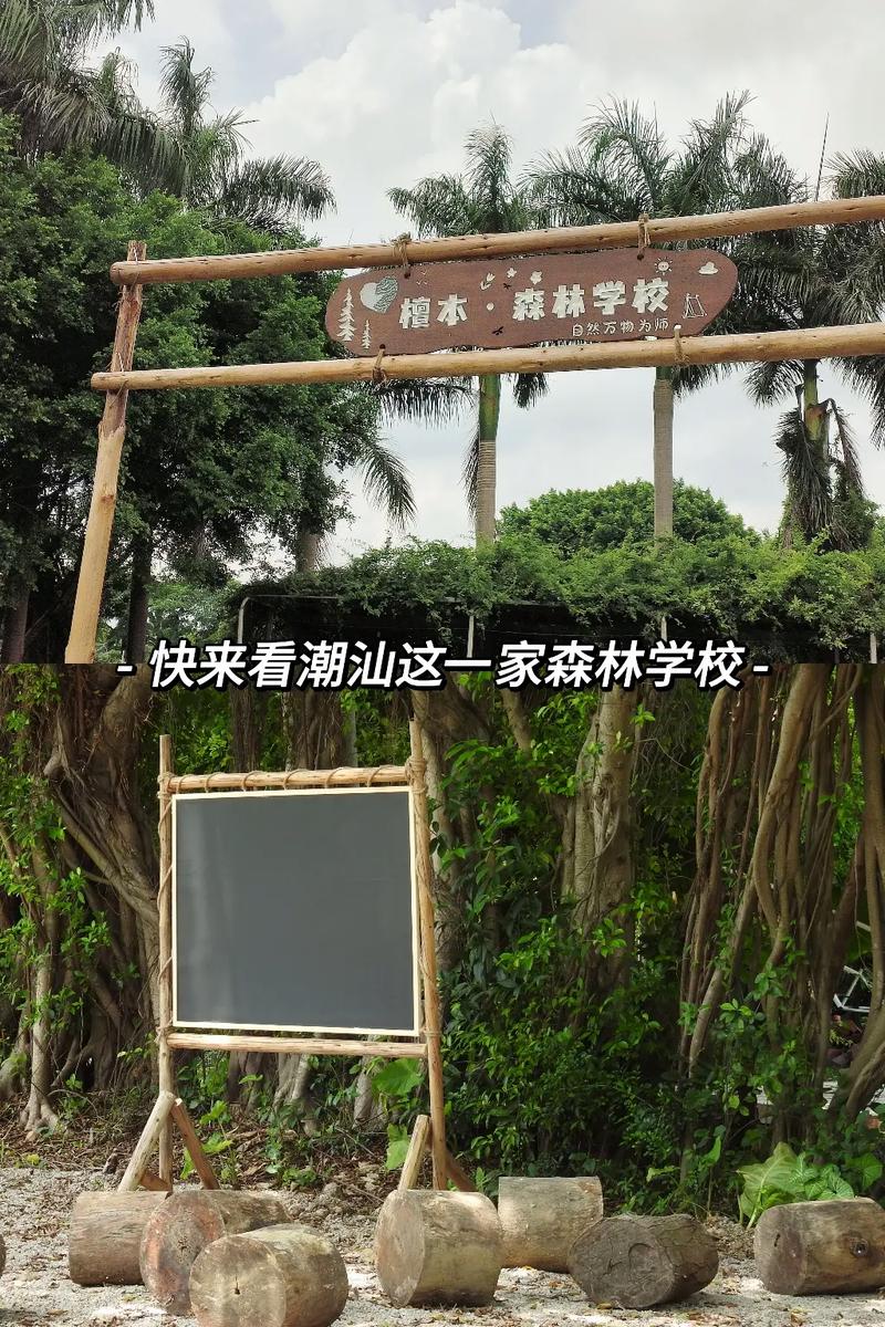 潮汕有哪些私立小学