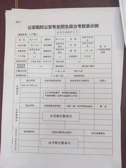 mpa政审怎么填