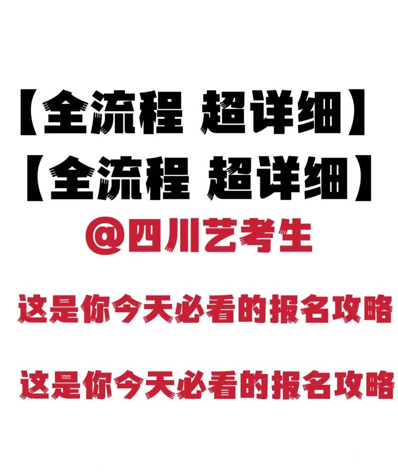 成都哪些大学招艺考生