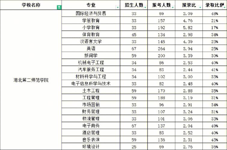 湖北510分报什么学校