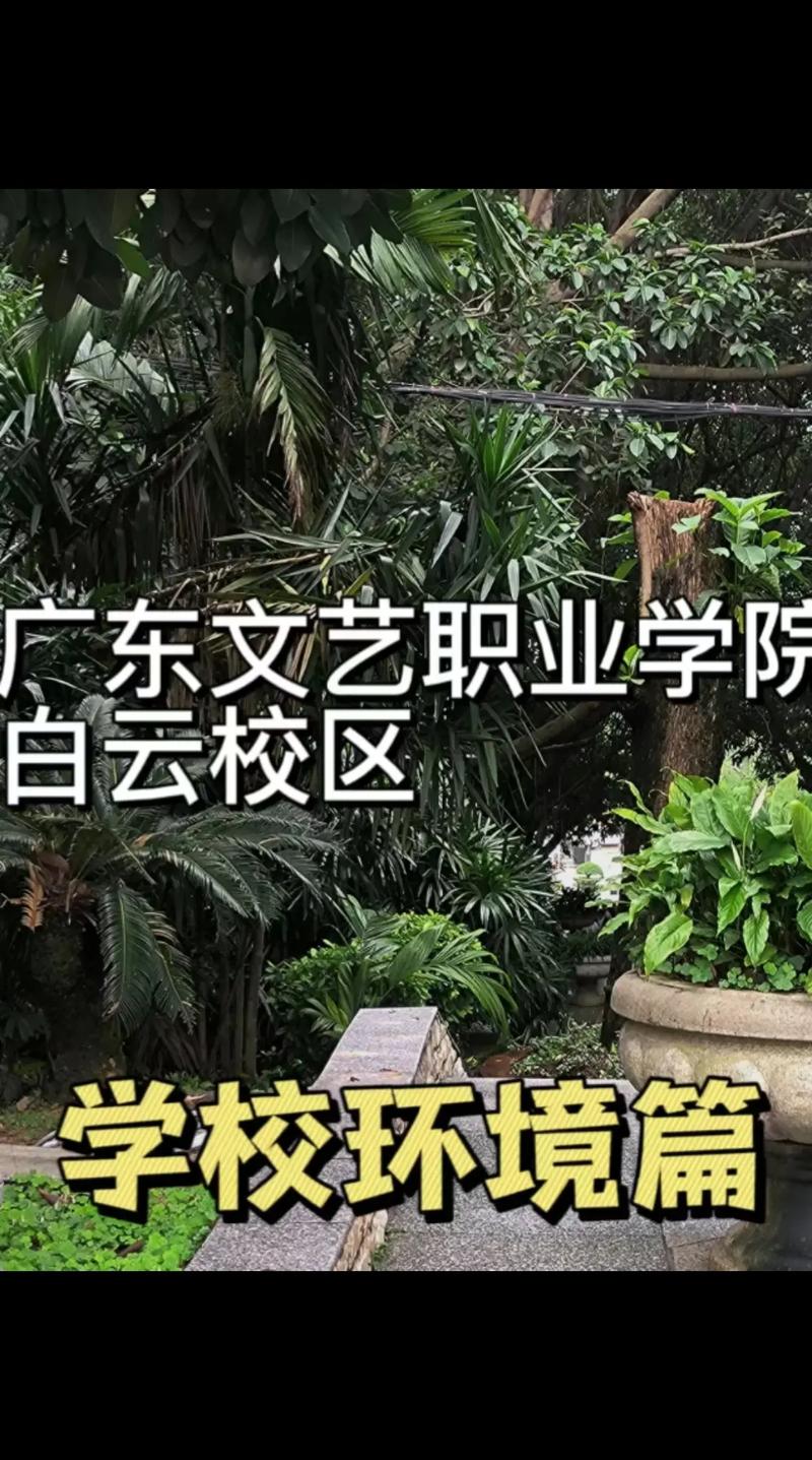 最好的文艺学校是什么