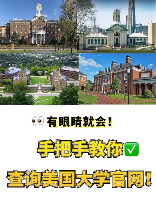 怎么查询美国大学