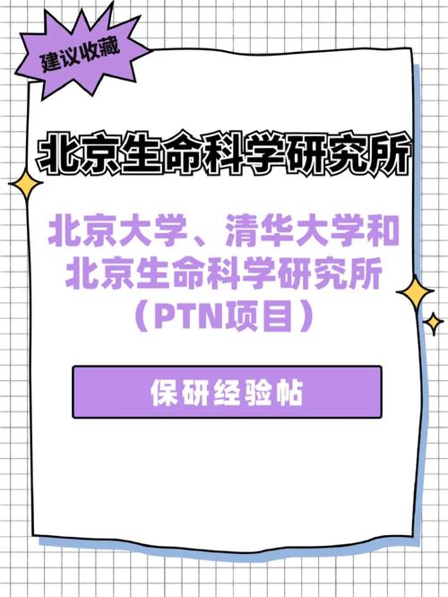 PTN项目博士怎么样