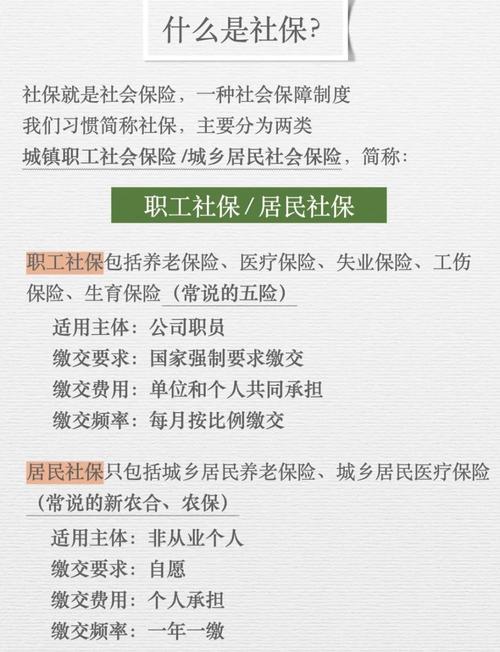 大学保资是什么意思