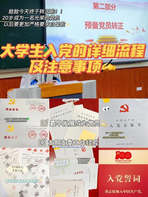 大学生支委是什么