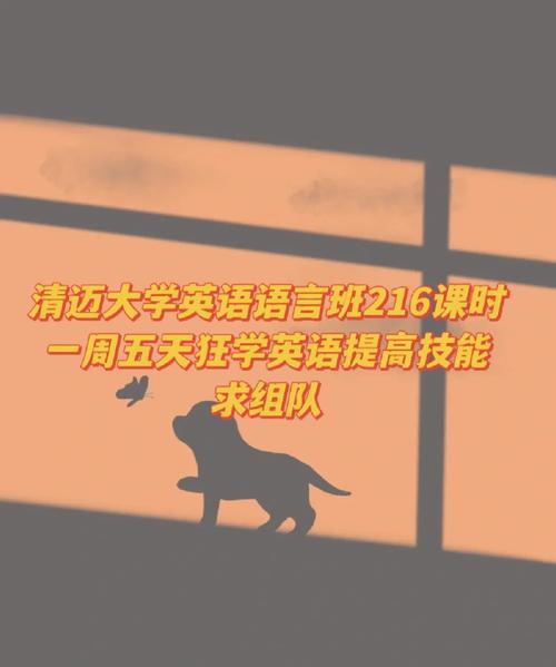 塘下哪里学大学英语班