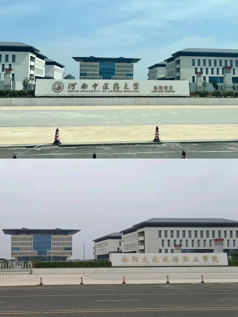 河南哪些大学有中医系