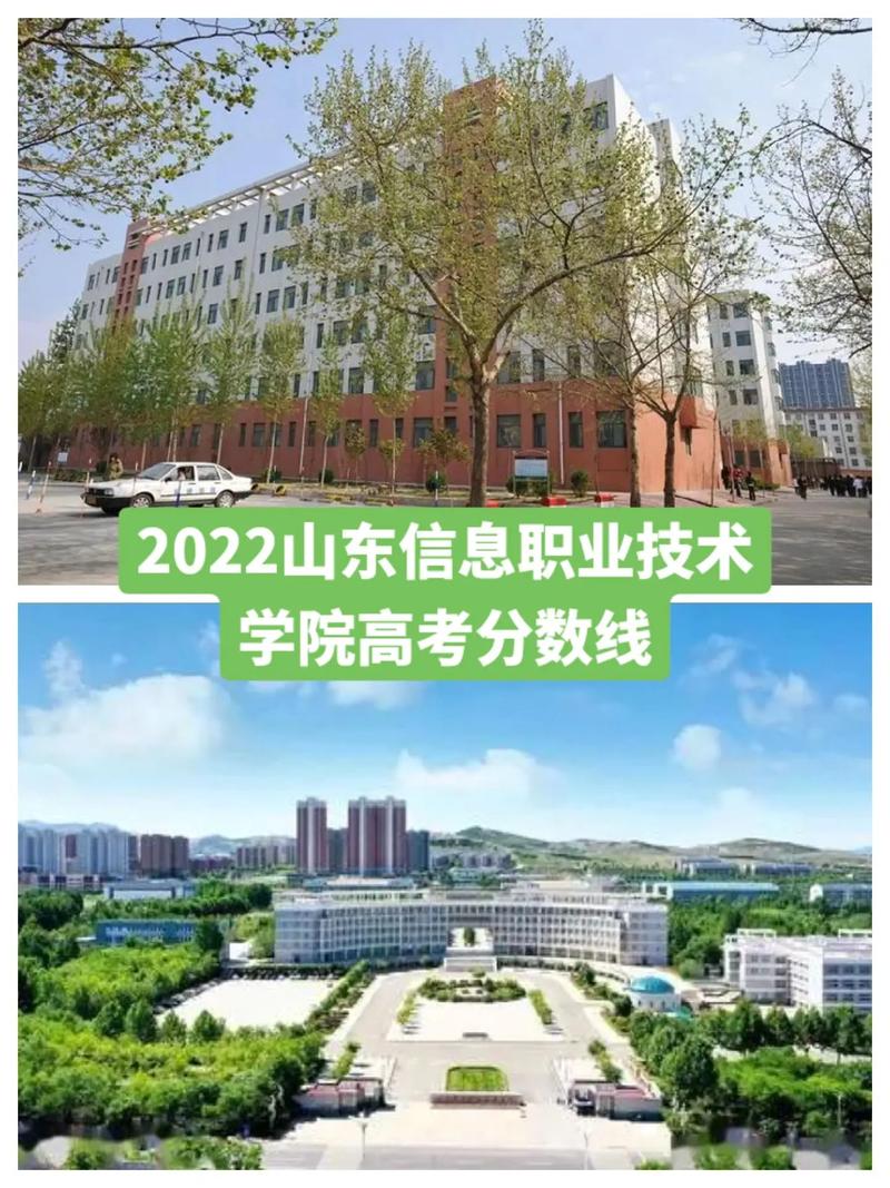 山东有哪些信息学院