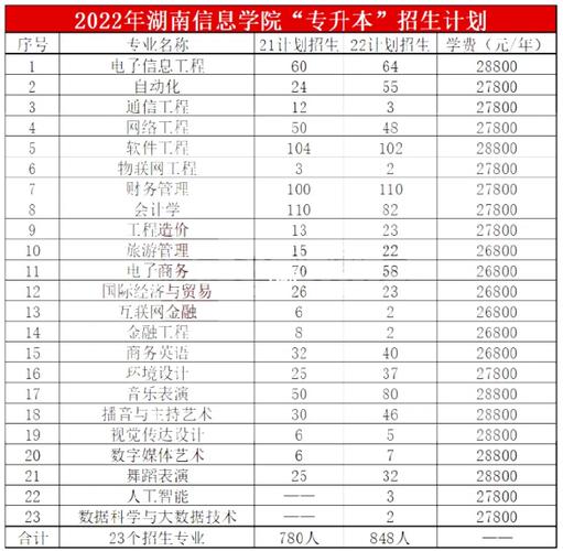 湖南信息学院有哪些本科