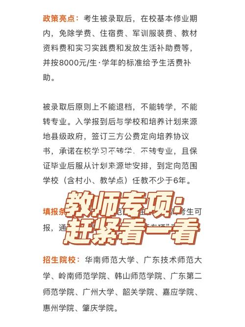 哪些大学有教师专项