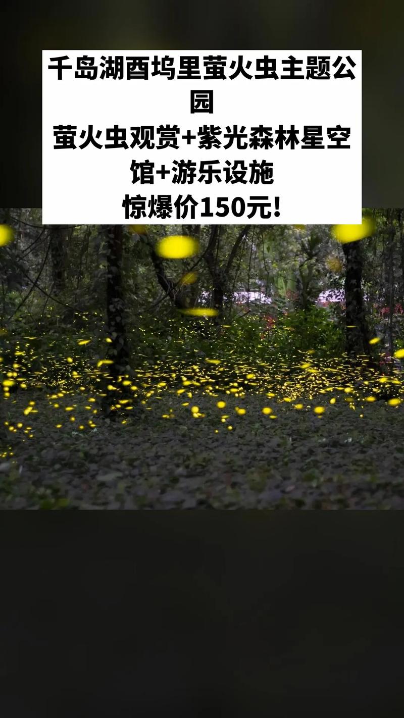 洛阳萤火虫在哪里买