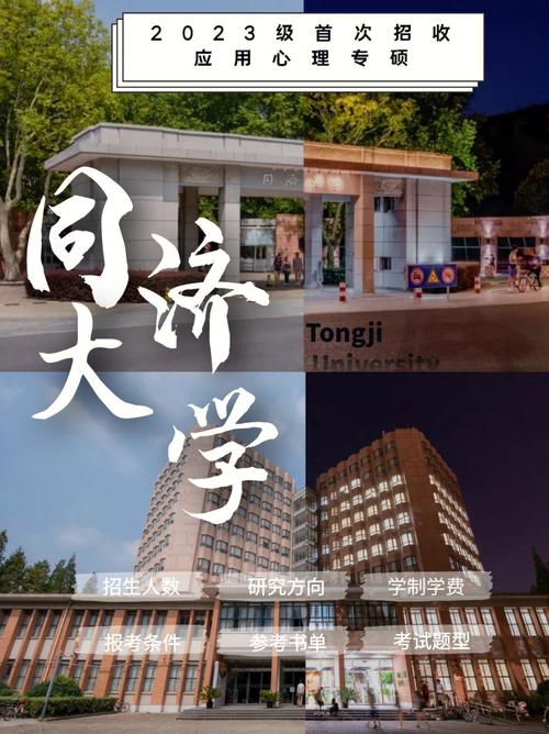 同济大学属于哪里