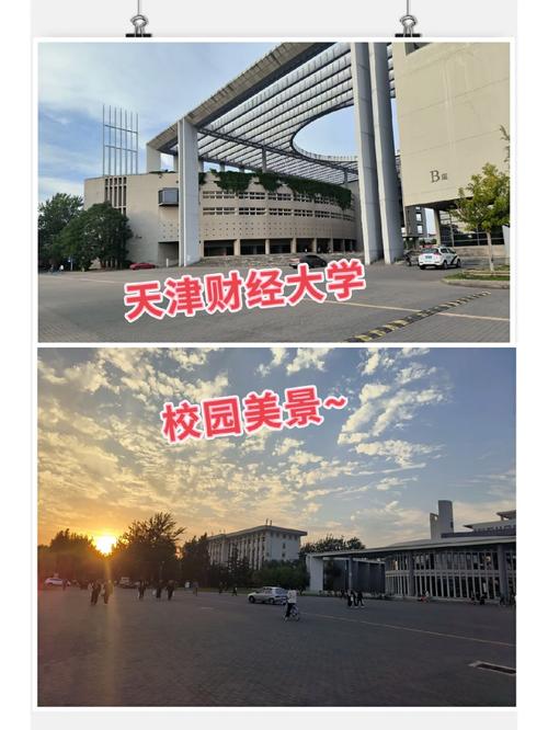 天津财经学院在哪里