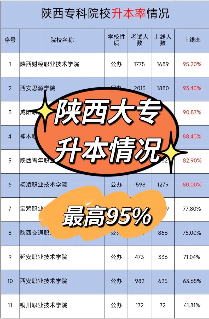 陕西哪些大学内有专科