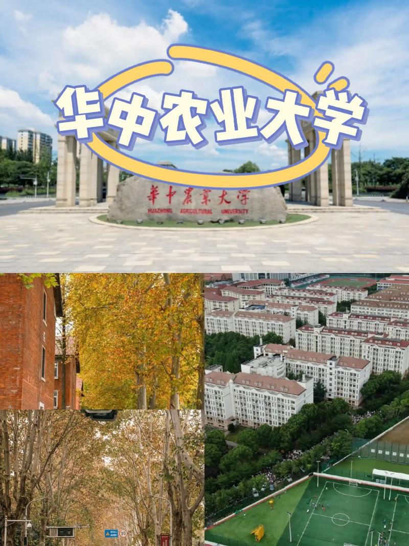 属于农业方面的有什么大学