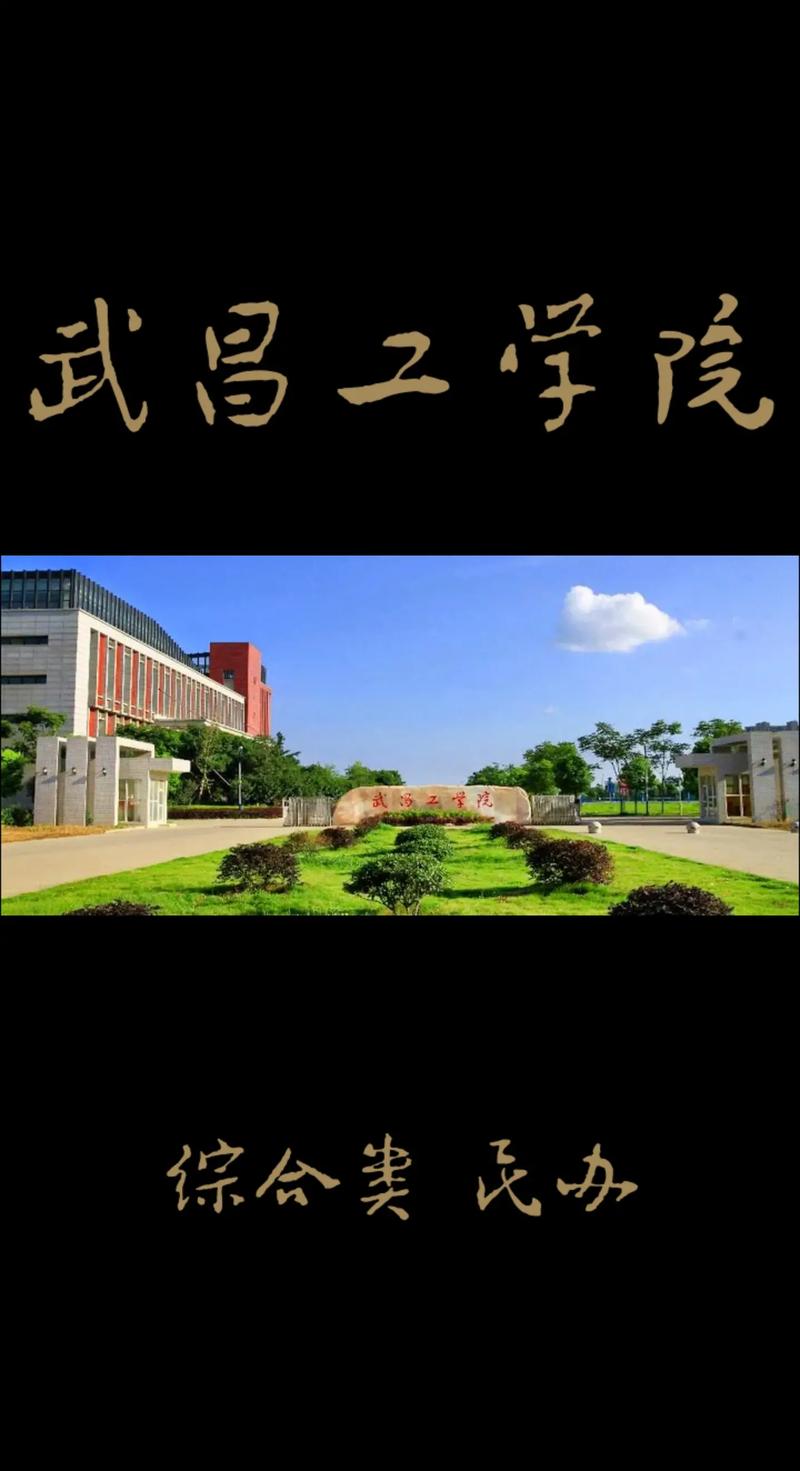 湖北武昌区有哪些大学