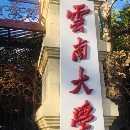 云南大学在什么路