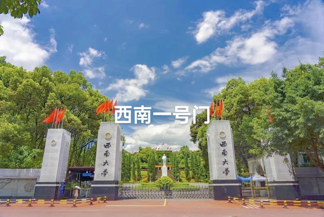 西南有什么好的大学