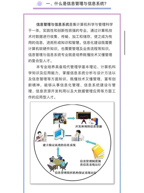 信管专业大学怎么规划