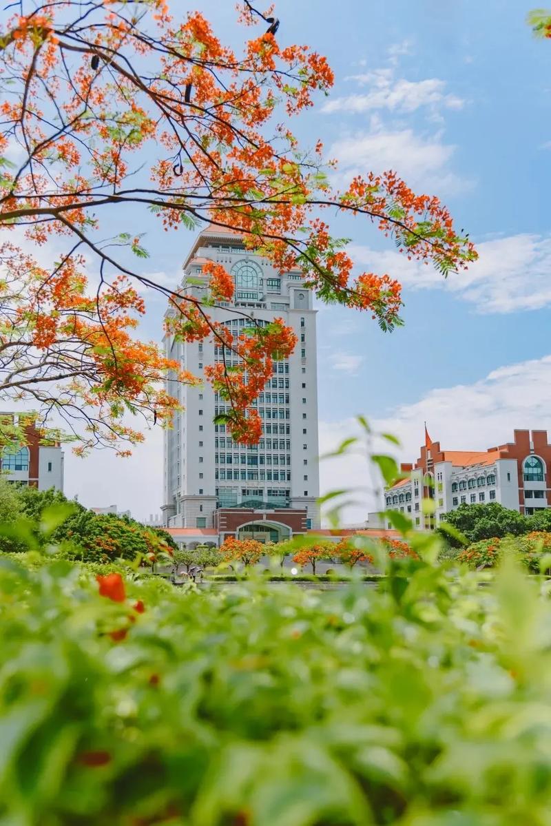 厦门还有哪些大学