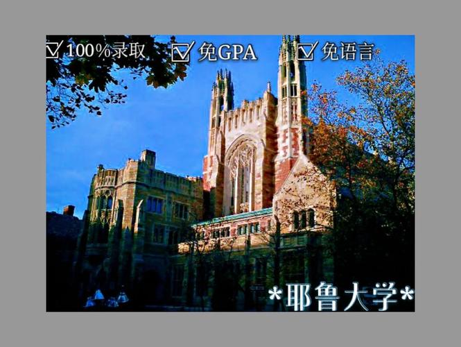 new haven有哪些大学