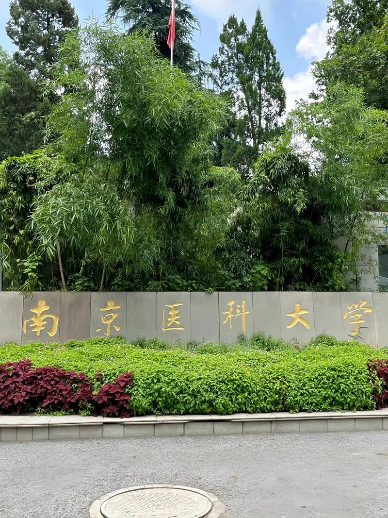 医科大学是哪里