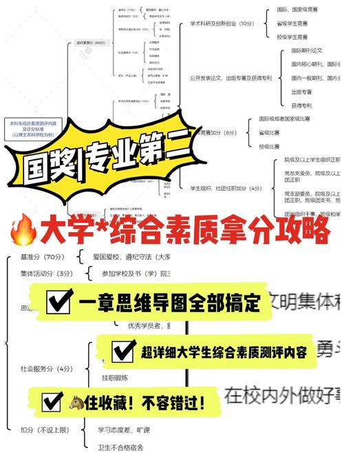 大学素质测评有哪些工作程序