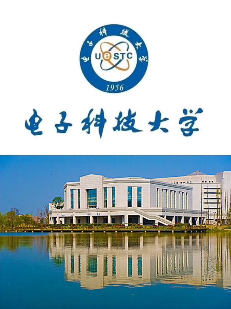 电子科大分什么学院