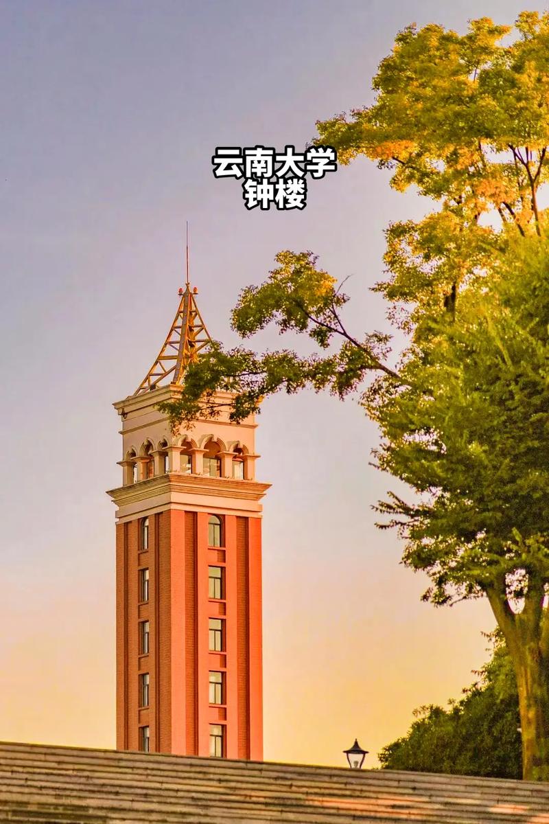 云南有哪些大学及介绍