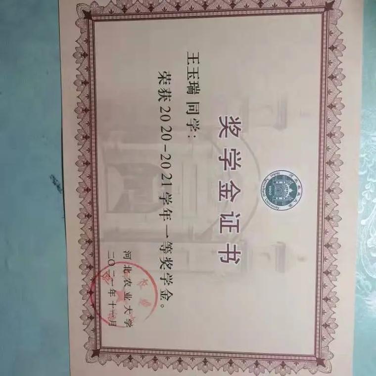 常州信息学院奖学金怎么拿