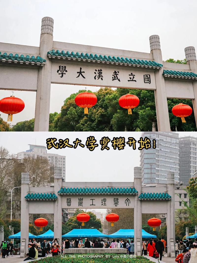 武汉市哪些大学