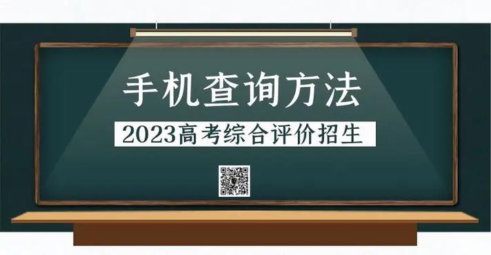 综招初审在哪里看