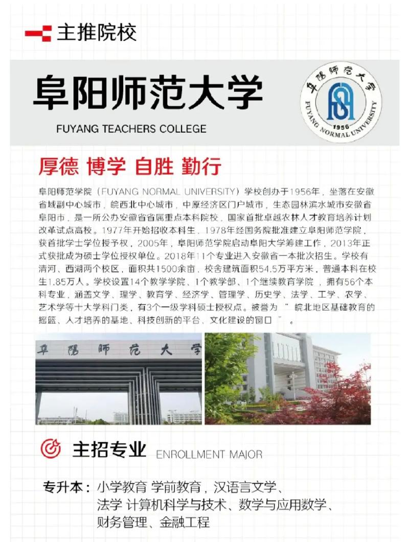 阜阳市都有哪些大学