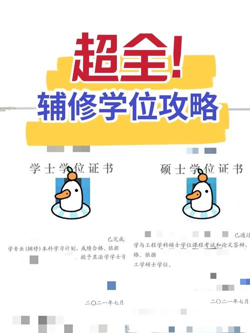 2017辅修专业怎么报名