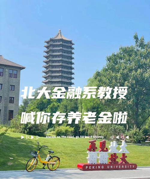 北大金融出来能做什么